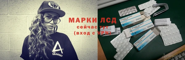 прущие грибы Ростов