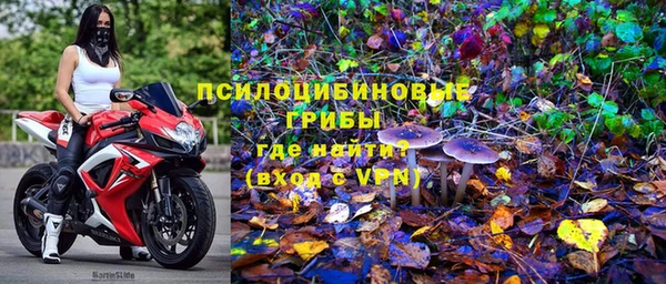 Альфа ПВП Алзамай
