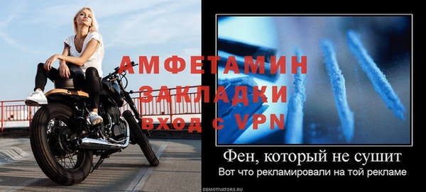 прущие грибы Ростов