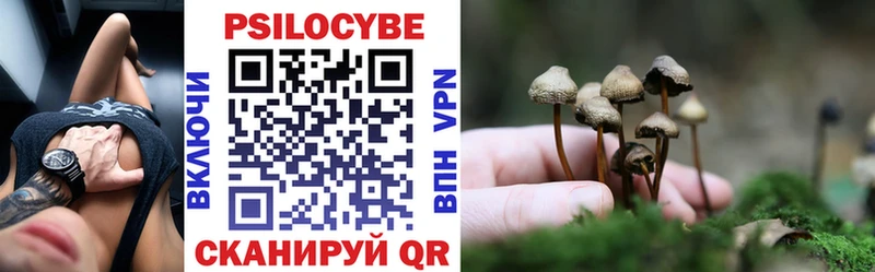 Псилоцибиновые грибы прущие грибы  Курлово 
